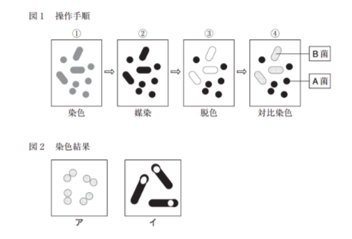解説画像
